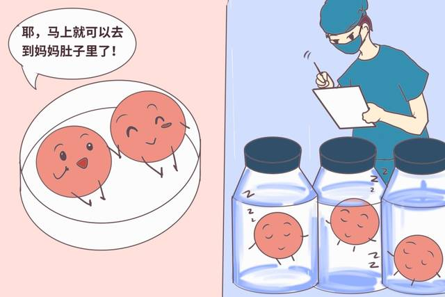 哪些胚胎可用于移植？了解下！